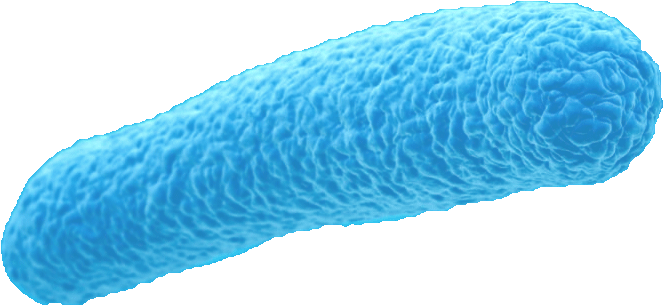 produkte-biozide-bakterium